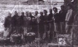 Работницы парникового хозяйства совхоза Тахтамышевский, д. Черная речка, 1968 г.
