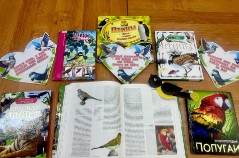 «Яркое царство пернатых»