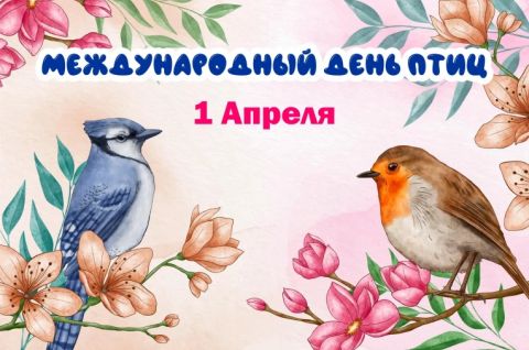 Мир птиц в деталях