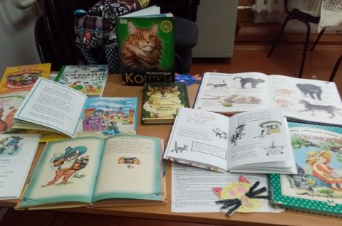 «Без кота и жизнь не та»