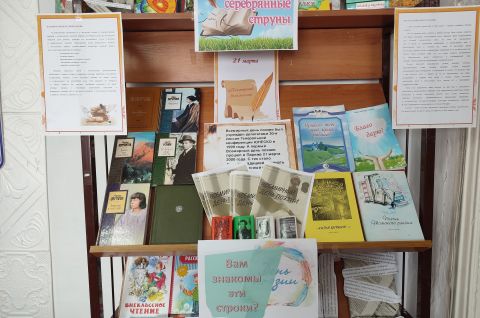 Стихов серебряные струны