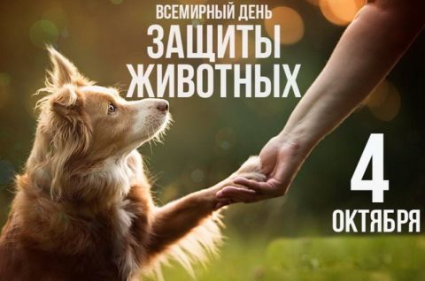 Удивительный мир фауны: к Всемирному дню защиты животных